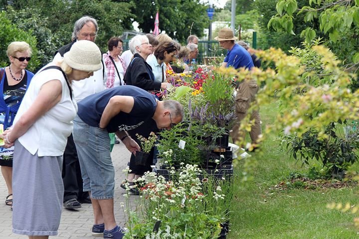 Party Sommerfest im Botanischen Garten Pflanzenmarkt Führungen