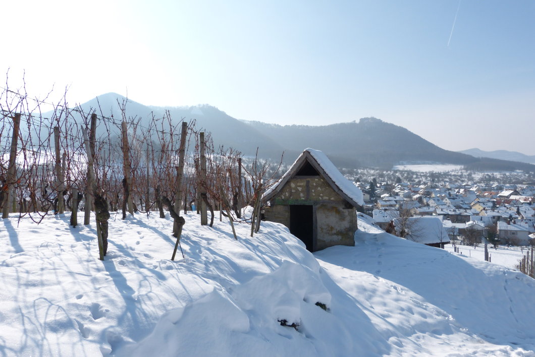 Winzertraum – Glühwein, Gschicht‘le und Genuss