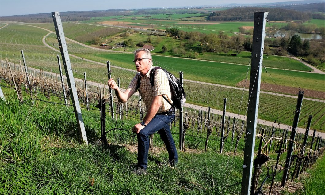 Faszination Weinberg