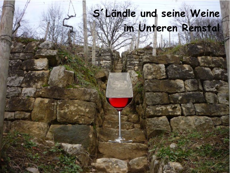 Alte Weinberg-Steillagen im Naturschutzgebiet