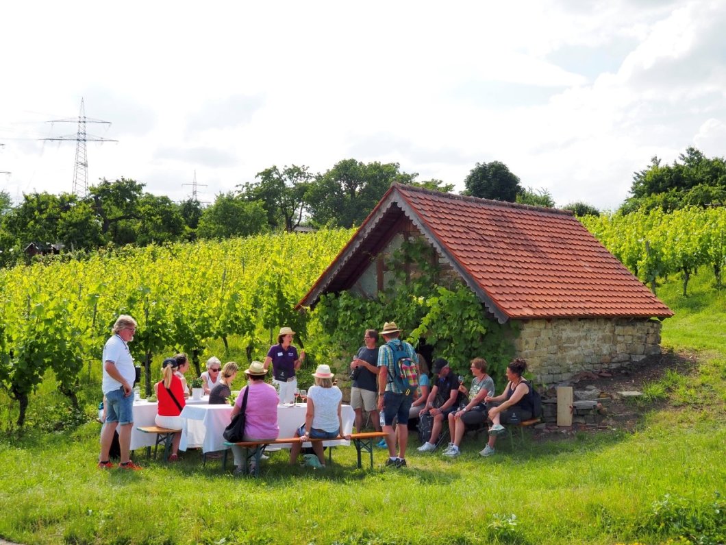Neckar-Wein-Helden: Die Ludwigsburger Steillagen und deren Premiumweine entdecken