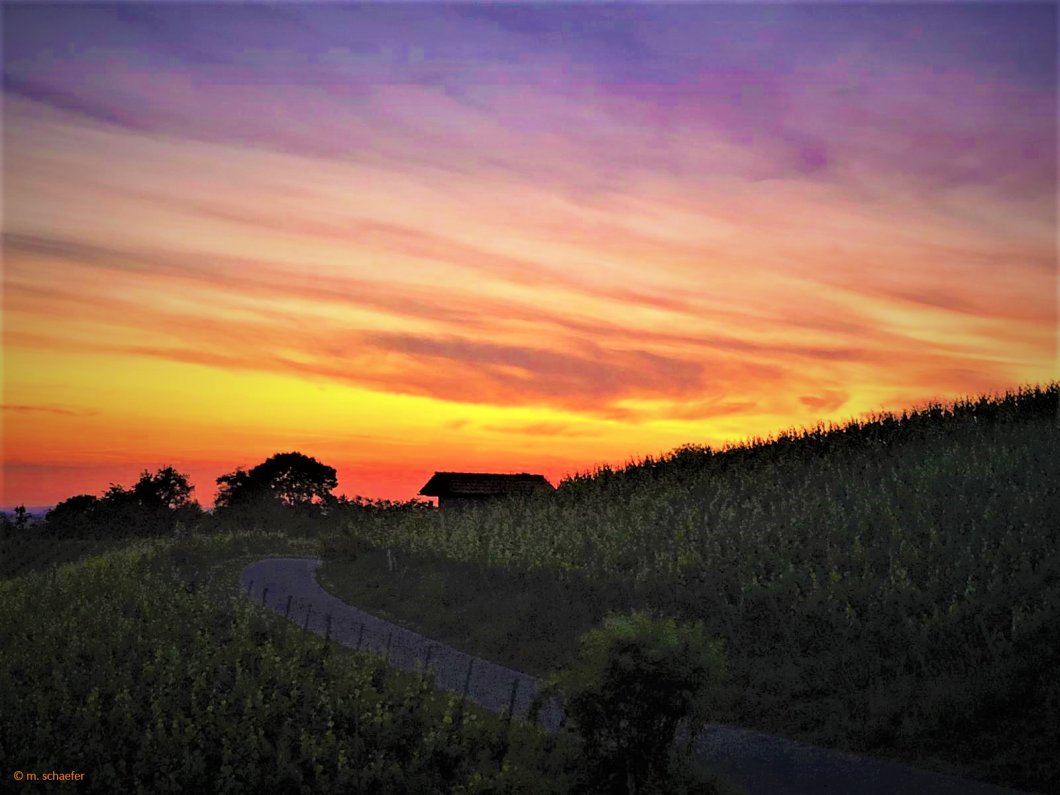 Sunset ins Wochenende