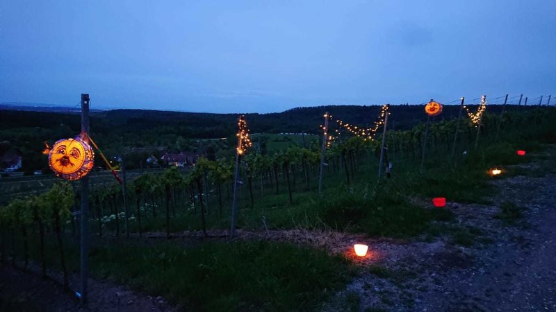 Mondschein und Wein