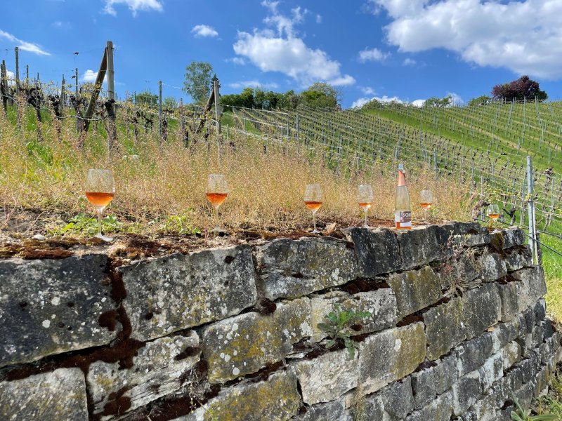 Drink Pink! Eine betörende Versuchung in Rosé
