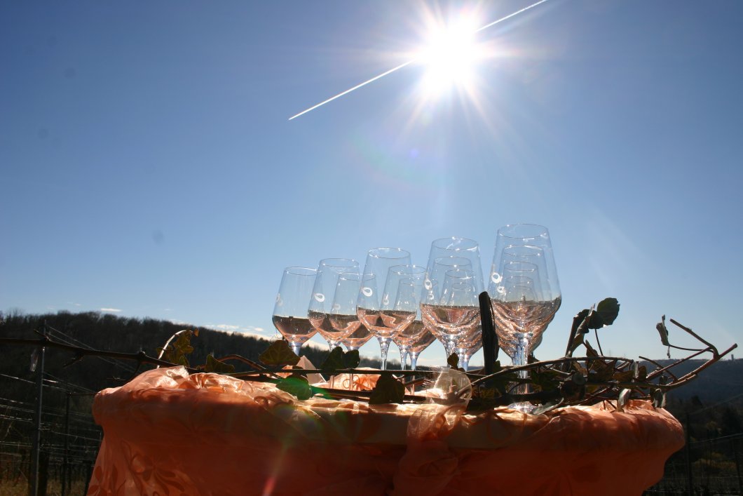 Gutstour Weingut Singer x Bader
