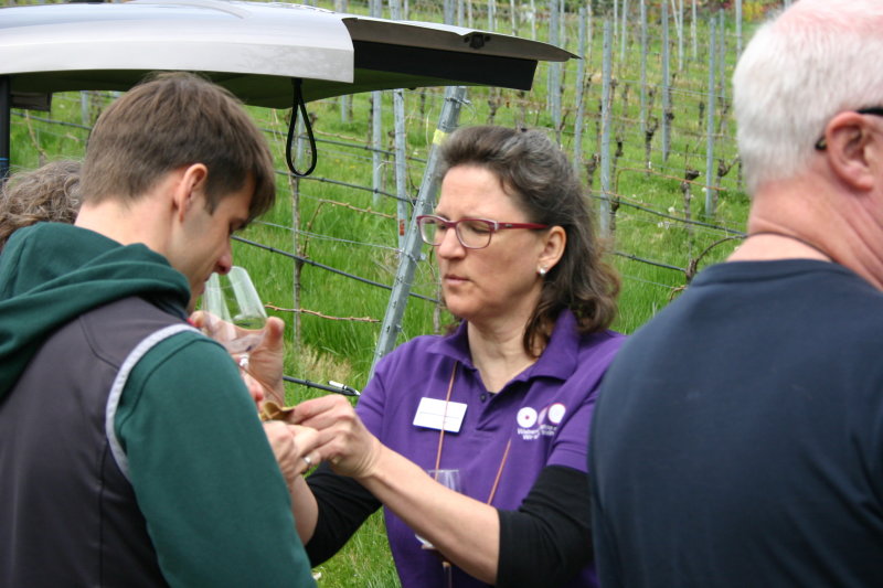 Gutstour mit Weingut Sterneisen