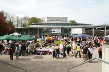 Single party soest