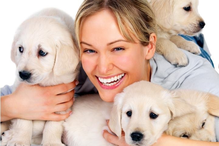 Party Mein Hund Partner auf 4 Pfoten OberschwabenKlub in