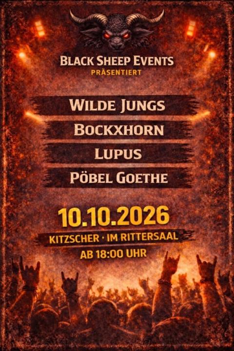 Wilde Jungs - Exklusives Wohnzimmer Konzert