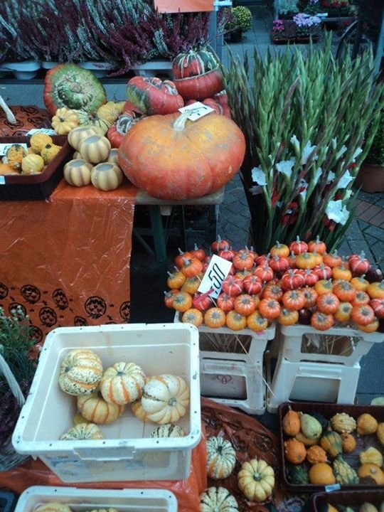 Party - Bauernmarkt mit verkaufsoffenem Sonntag - Stadt Gelsenkirchen ...