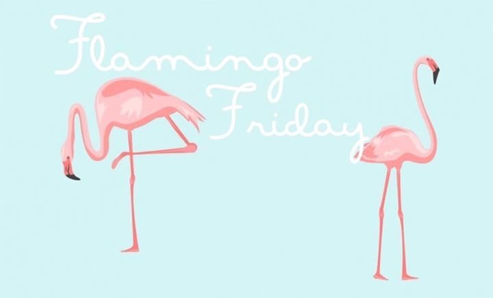 Party - Flamingo Friday - DJ Michiel - Danzig in Den Haag - 14.04.2017