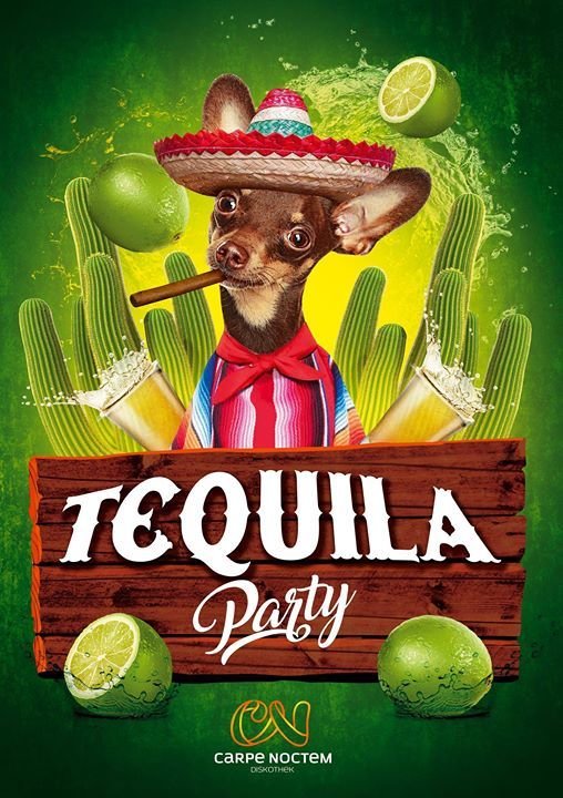 tequila party crypto price