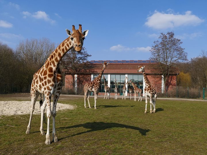 darf das fahrrad mit in den tierpark berlin