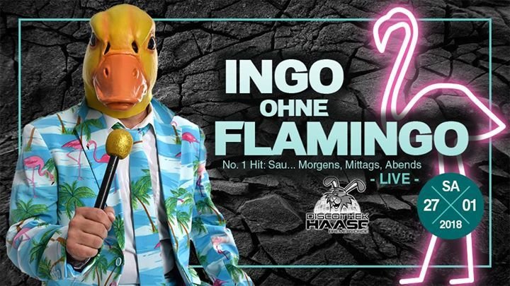 Ingo Ohne Flamingo Saufen Morgens Mittags Abends