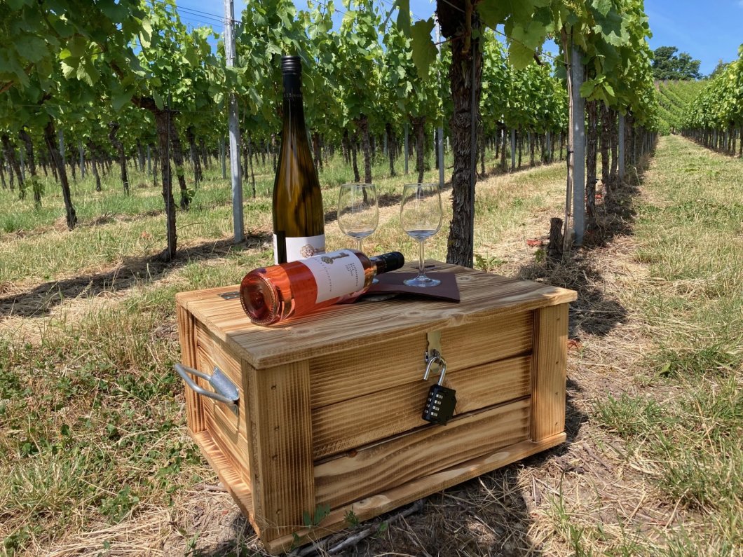 Weinschatzsuche am Heuchelberg