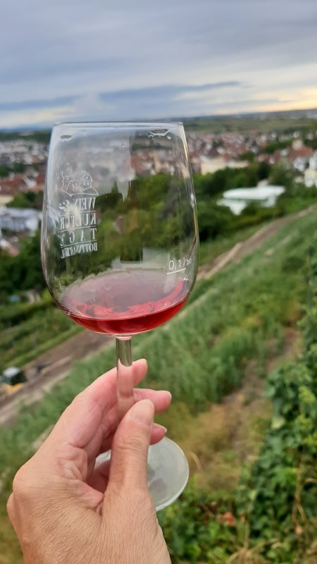 Wengert, Wahn und Weiberzeche: Wein- und historische Erlebnistour am Hohenasperg