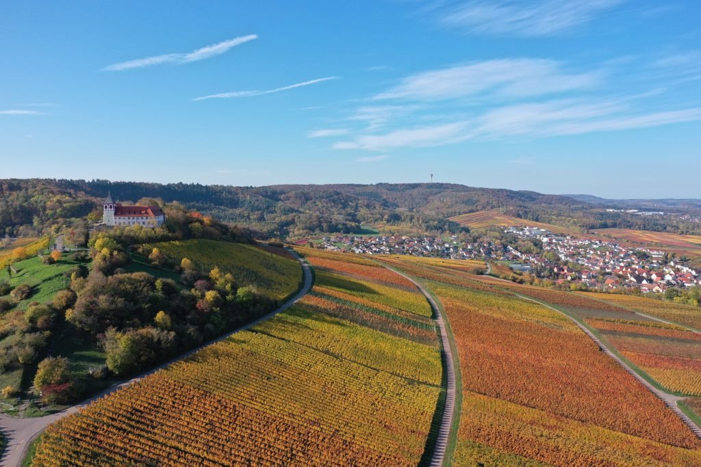 Frühlingserwachen an der württembergischen Weinsicht 2020 am Michaelsberg