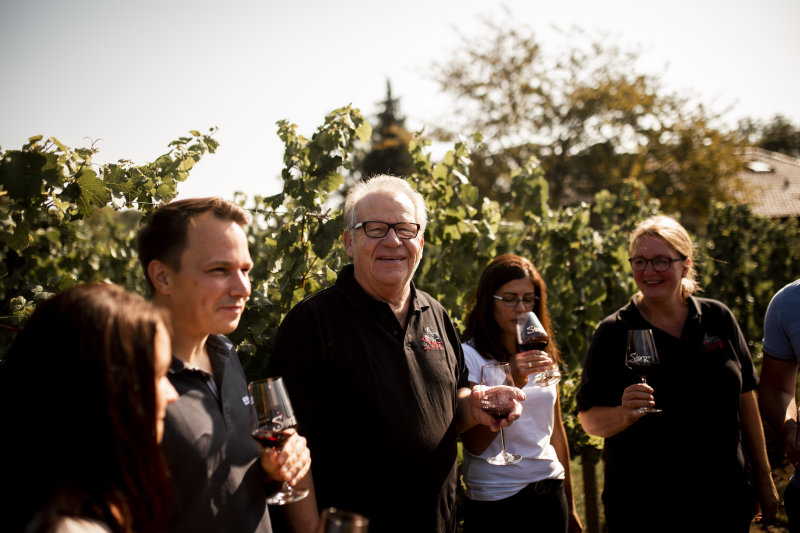 Weinprobe Privatkellerei Storz und Spaziergang zur württembergischen Weinsicht 2020 am Michaelsberg