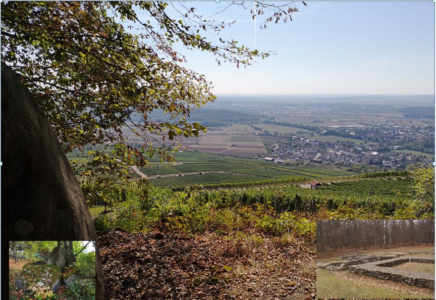 „Megalithen, Bergheiligtümer und Kloster“ – Weinwanderung am Klosterberg in Horrheim