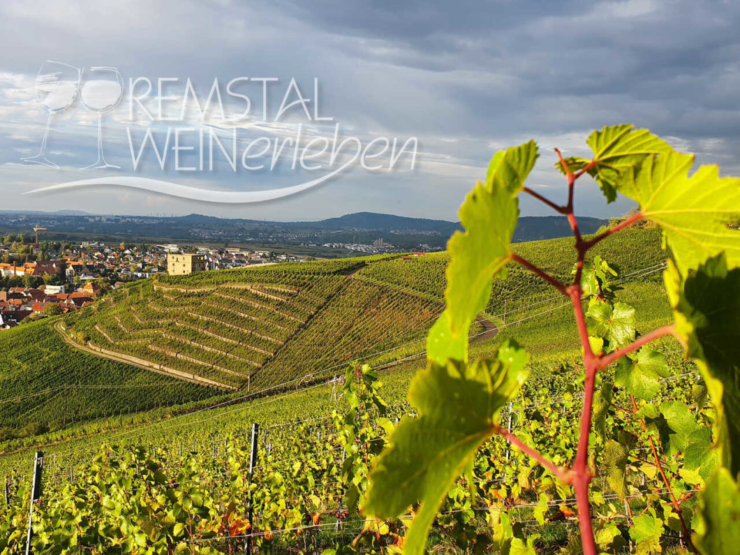 Weinsüden Weinort &#8222;Stetten im Remstal &#8211; ein Ort mit Prädikat&#8220;
