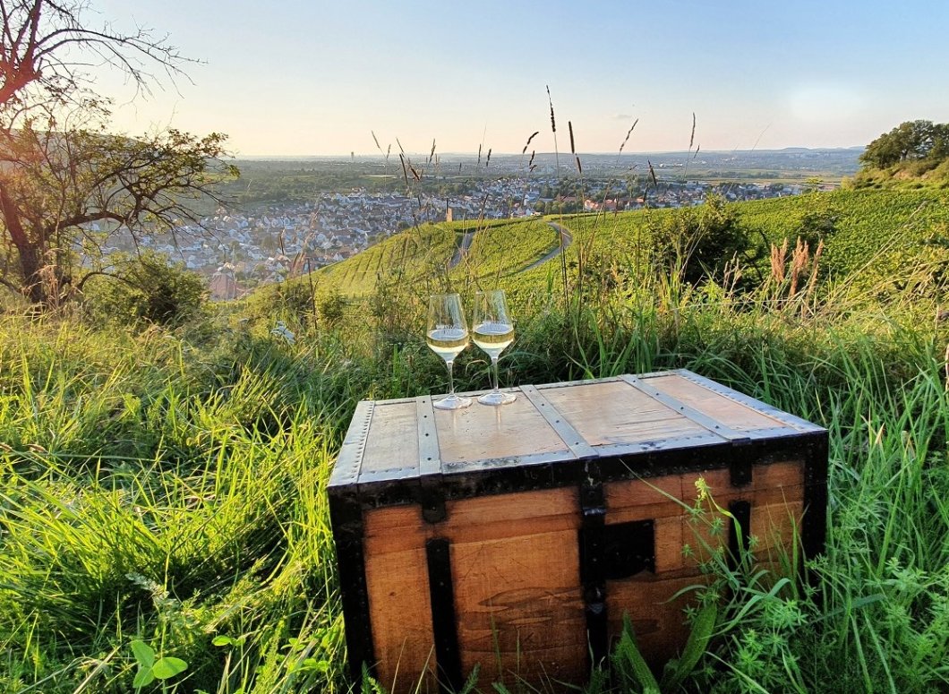 WeinSchatzSuche in den Weinbergen von Stetten im Remstal