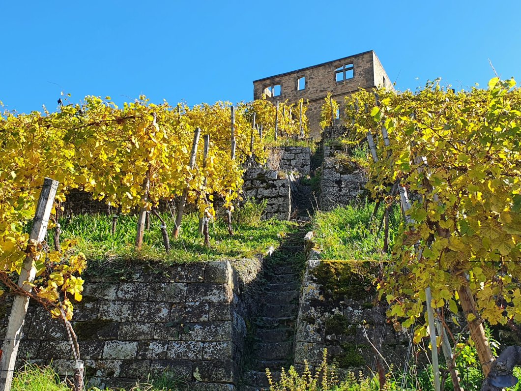Weinsüden Weinort „Stetten im Remstal – ein Ort mit Prädikat“