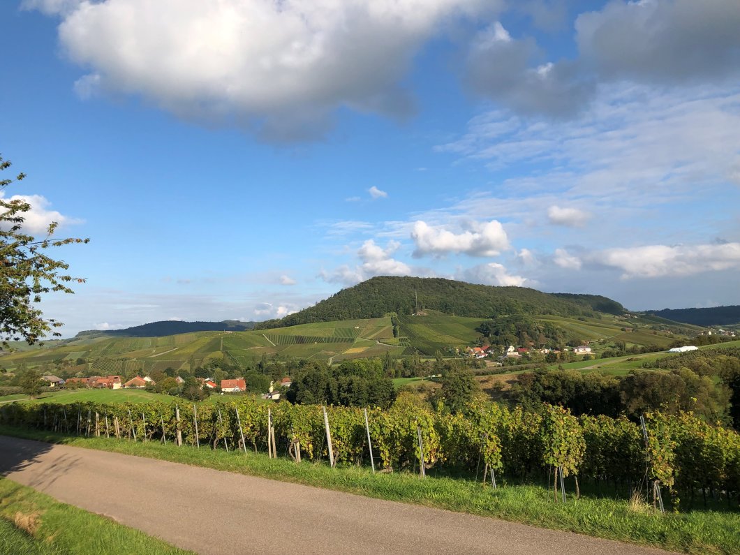 Wein-Spaziergang Dachsteiger