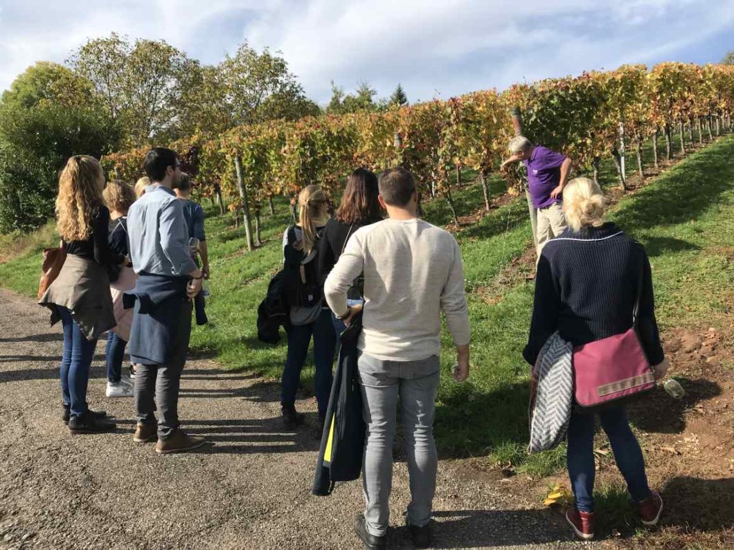 Afterwork Wein Walk in Stuttgart