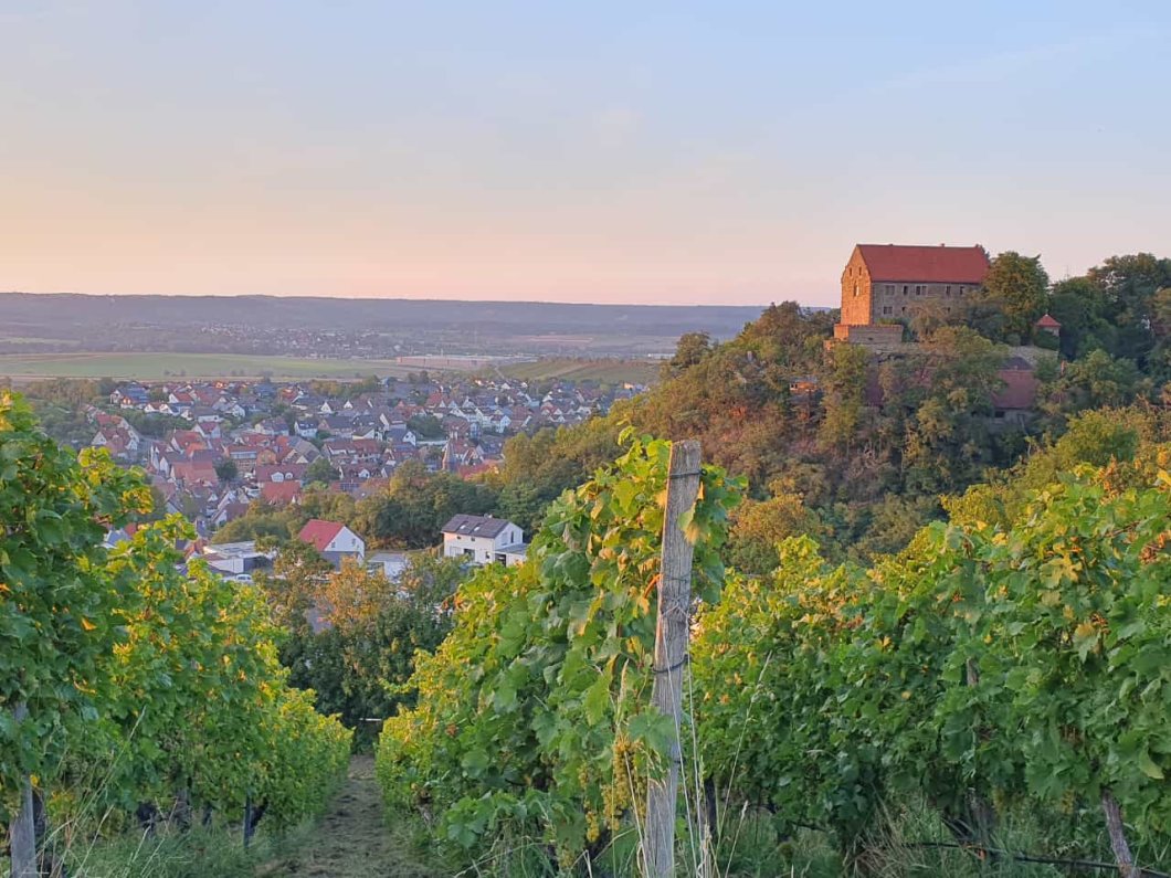 Wein-Wald und Wiesen