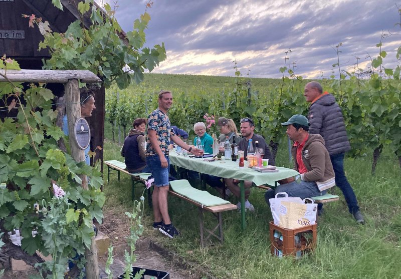 Vollmond im Weinberg