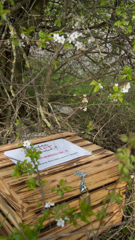 Osterweinsuche-Pfedelbach-Untersteinbach