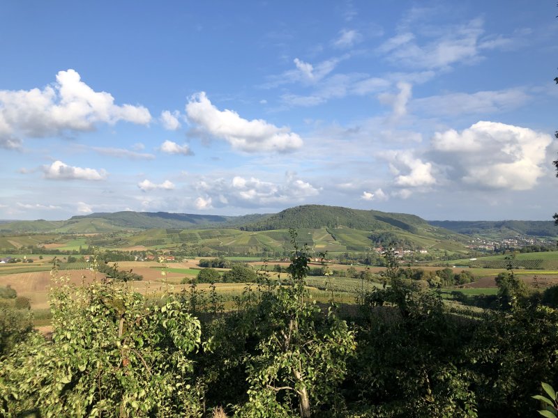 OsterWeinsuche Tour: Pfedelbach-Renzen