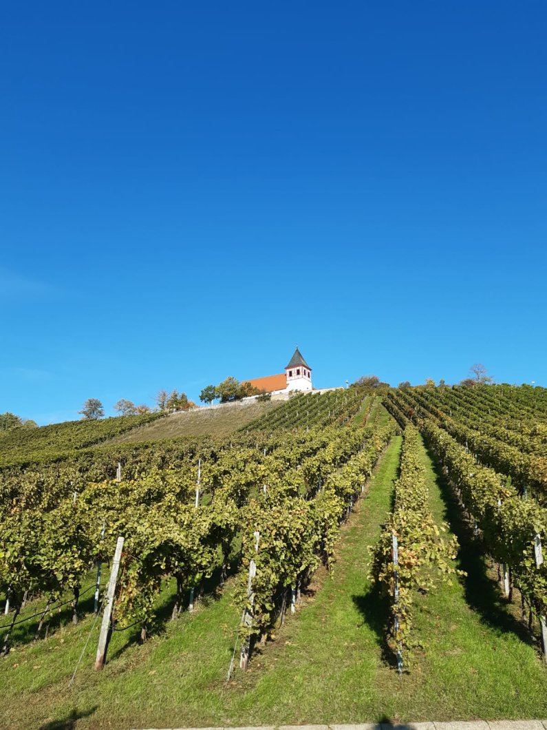 Der Wächter des Zabergäu – der Michaelsberg