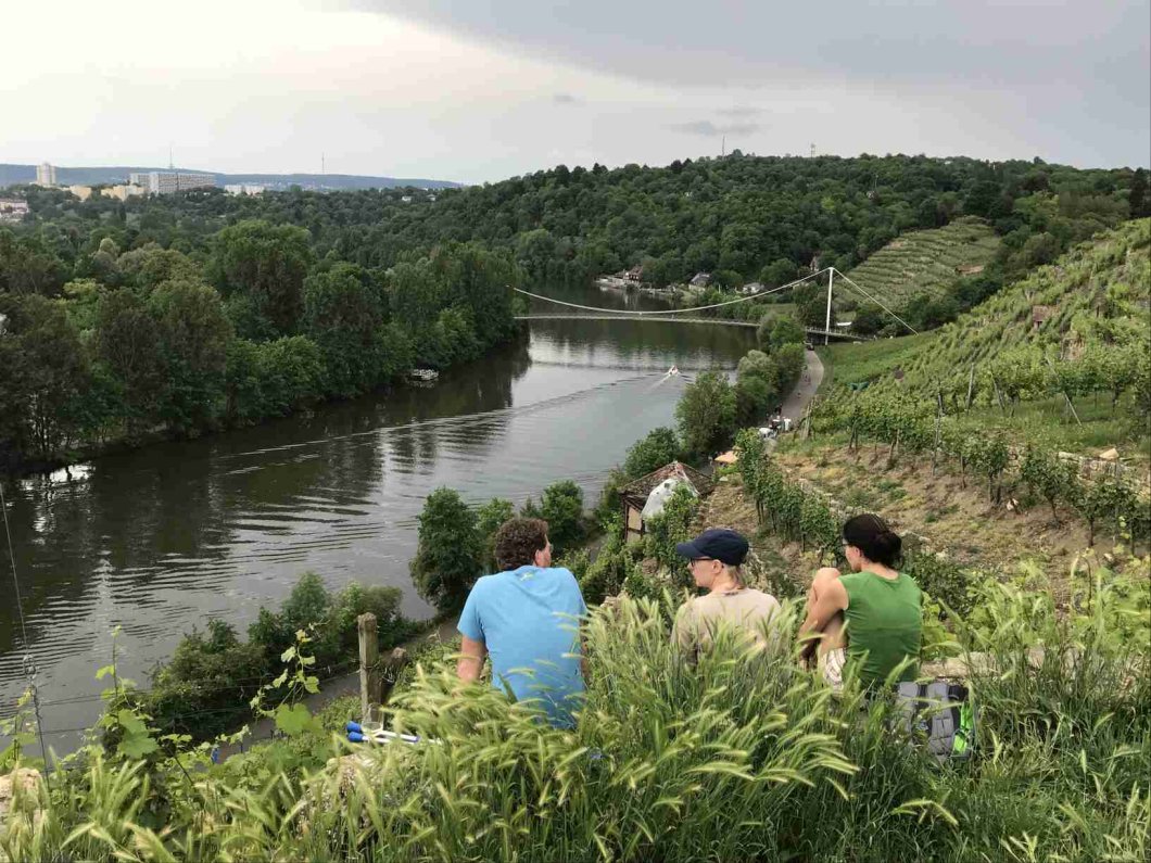 Weinerlebnisführung in Stuttgart-Bad Cannstatt/Hofen