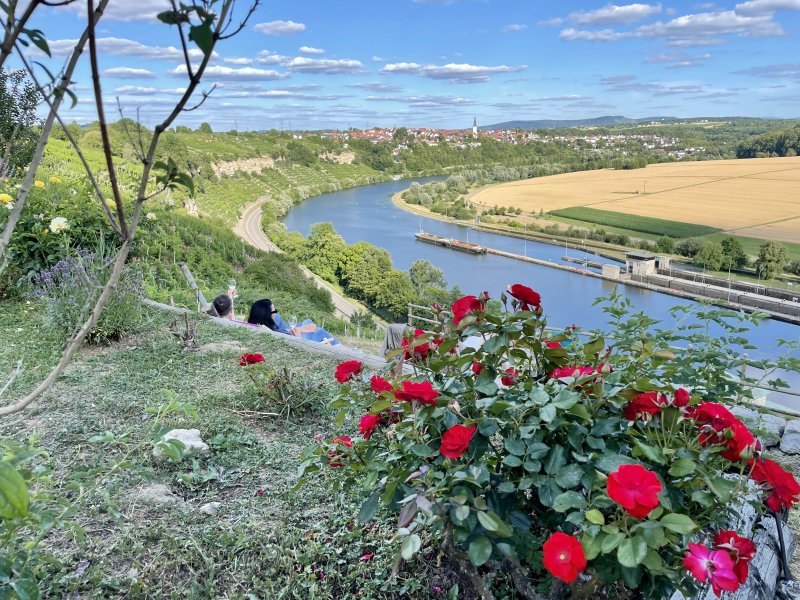 Der Fluss &#8211; das Land &#8211; die Weinmacher: Wein und Häppchen on tour