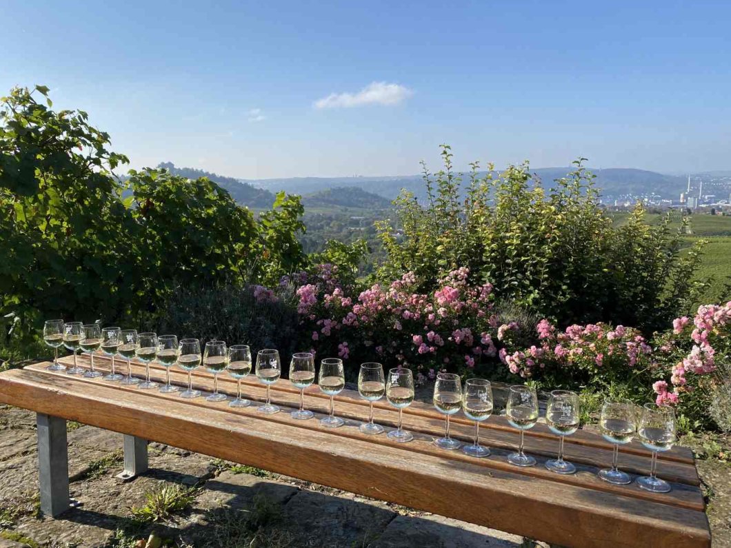 Die 3 Kelter-Panorama-Tour – von Fellbach nach Stuttgart-Uhlbach