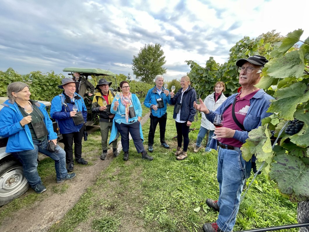 Neckar-Wein-Helden: Die Ludwigsburger Steillagen und deren Premiumweine entdecken