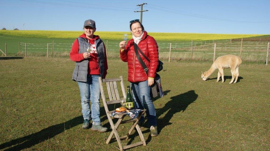 WeinTrekking mit Alpakas