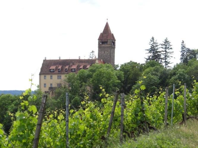 Mit Fahrtwind durchs Gäu &#8211; mit dem Elektro-Tuk durch die Weinberge