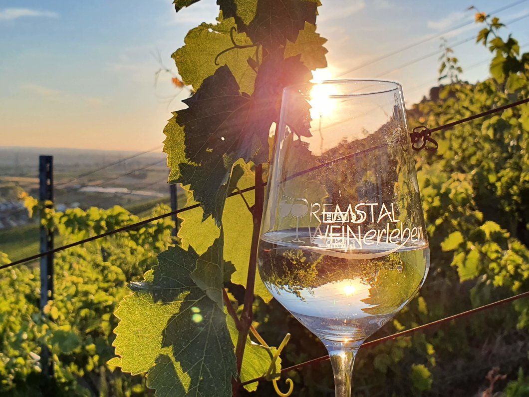 Abends in den Weinbergen von Großheppach