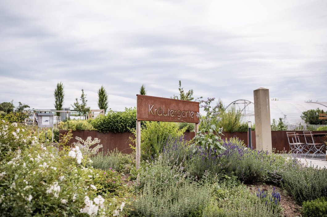 STENGs Aromabar – eine Reise durch die Aromen der Natur