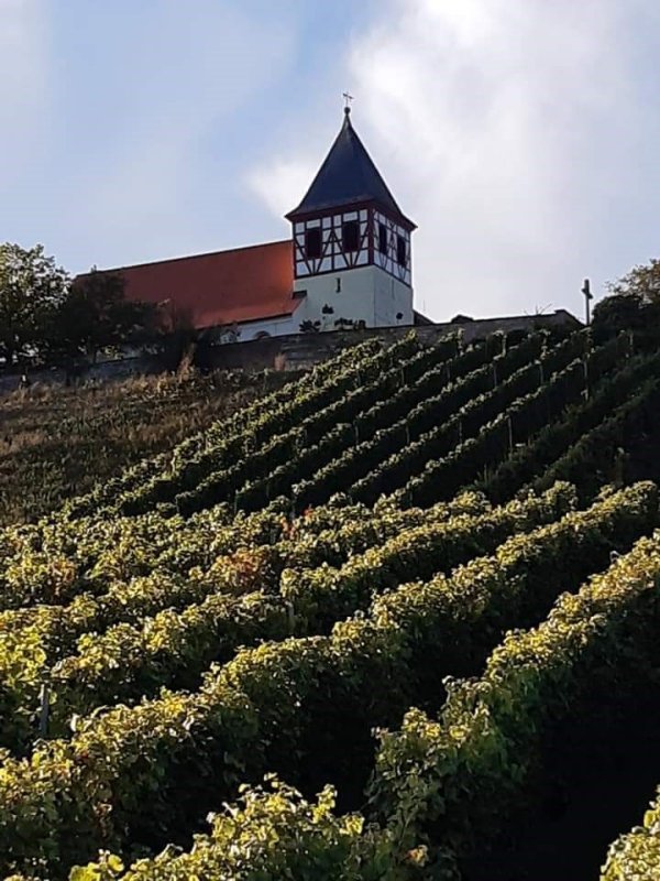 Der Wächter des Zabergäu – der Michaelsberg