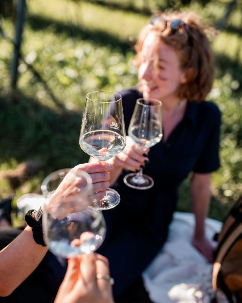 Weinblicke – Naturgenuss mit Neckarblick