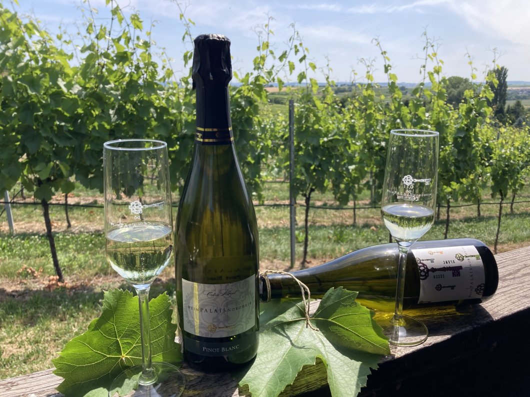 Sektfrühstück mitten im Weinberg