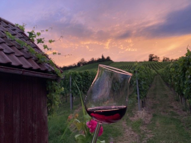 Weinspaziergang am Heuchelberg mit abschließendem Grillen am Wengerthäusle