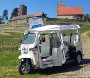 Mit Fahrtwind durchs Gäu – mit dem Elektro-Tuk durch die Weinberge