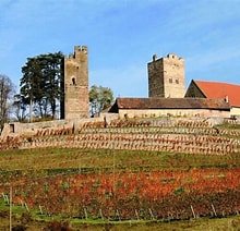 Cassis, Ziegel und Rubin – Alles in Rot  (als Wanderung oder mit dem Elektro Tuk möglich)