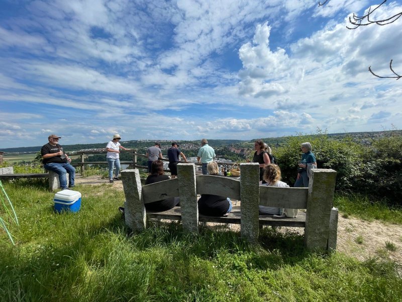 &#8222;Wir gehen steil&#8220;. Über Steillagen von Besigheim nach Walheim