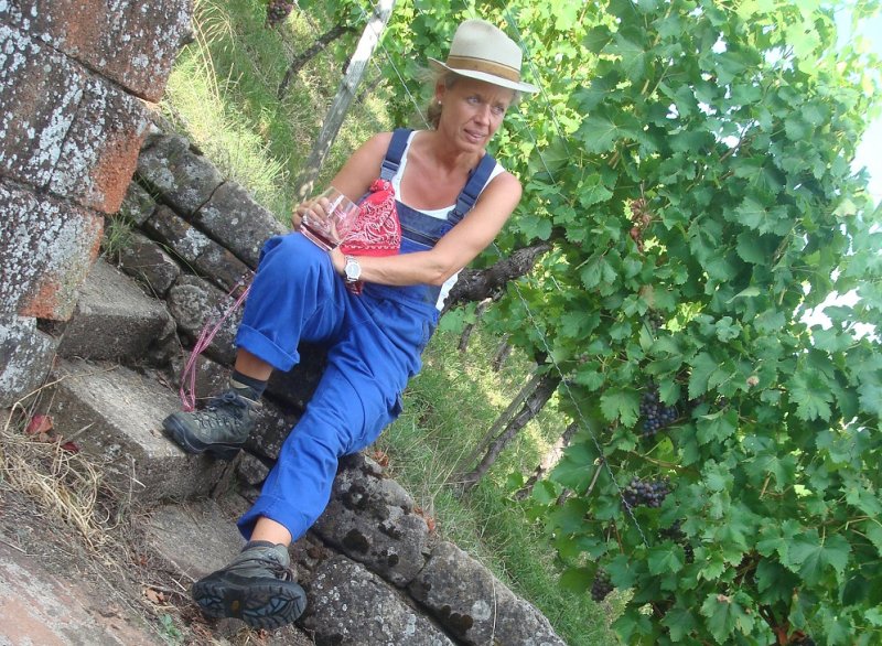 Hintergrund Veranstaltungsreihe Der Weinbau am Grafenberg - früher war alles besser!?