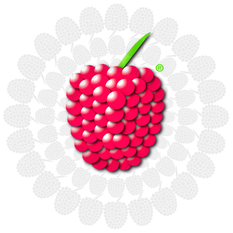 Hintergrund Veranstaltungsreihe Himbeerparty